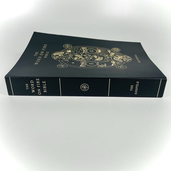 Word on Fire Bible (Volume 1) : The Gospels by Robert Barron 2020 USED Paperback - Picture 2 of 7